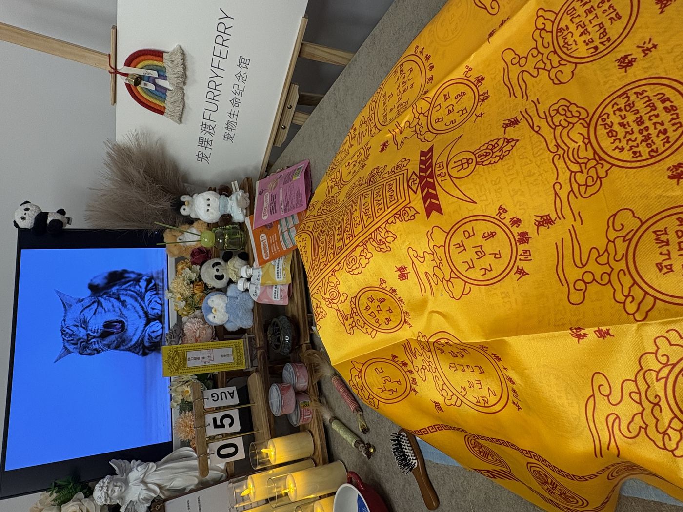 家属能带些什么