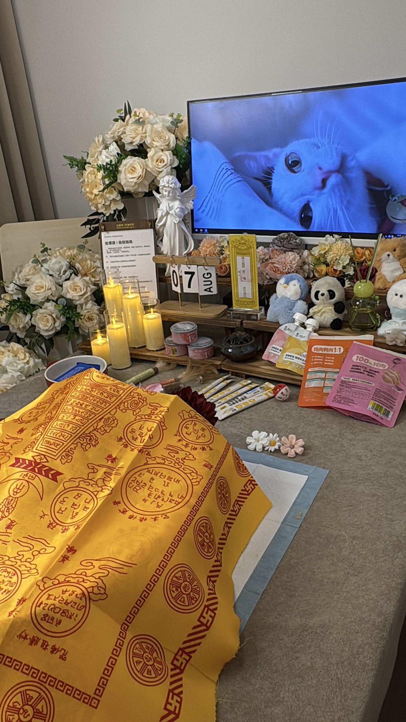 预约与准备建议