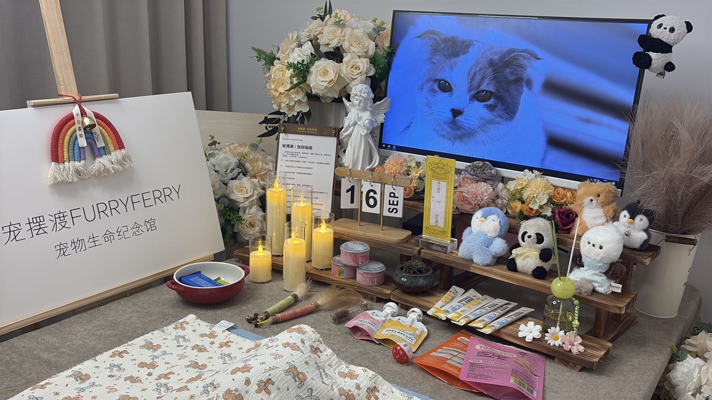 开具死亡证明
