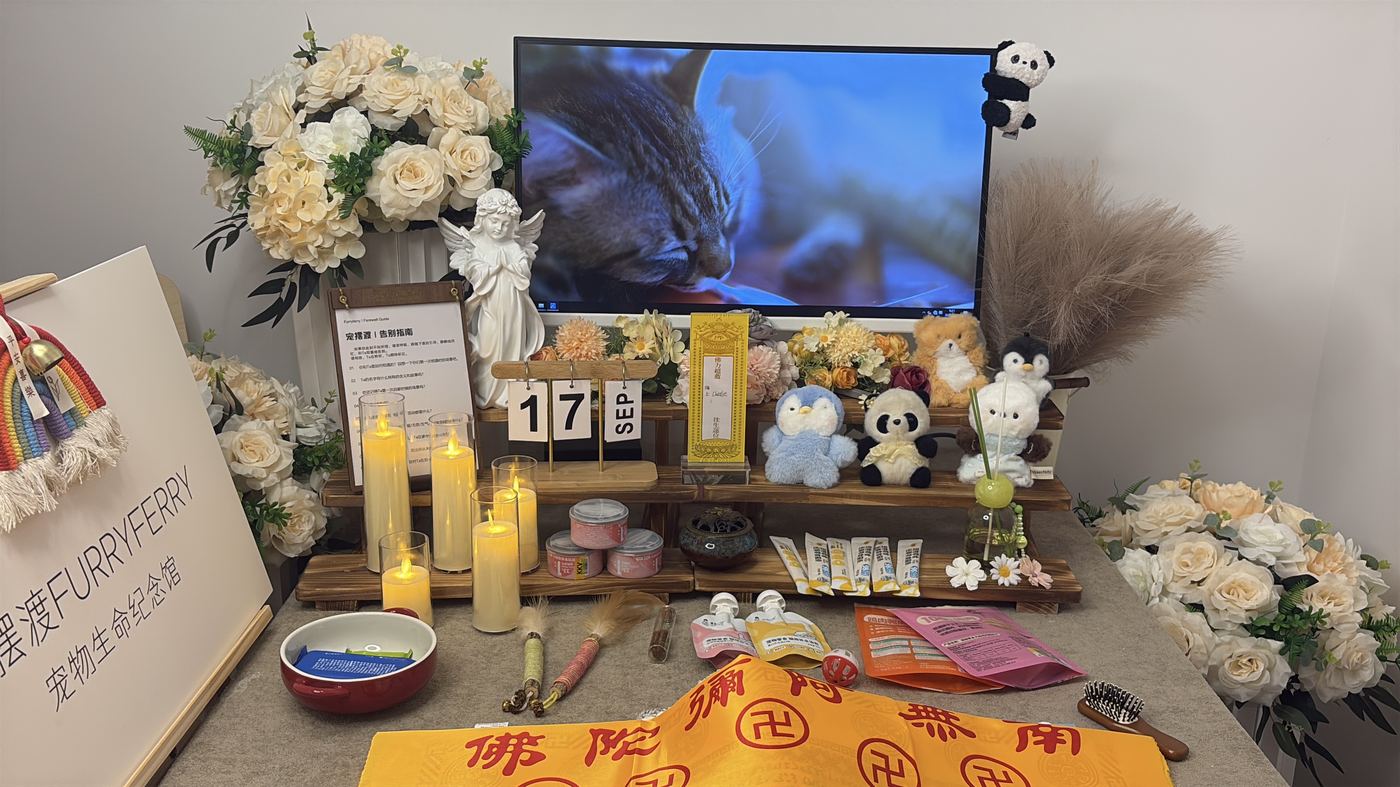 一、办理流程拆解：每一步做什么