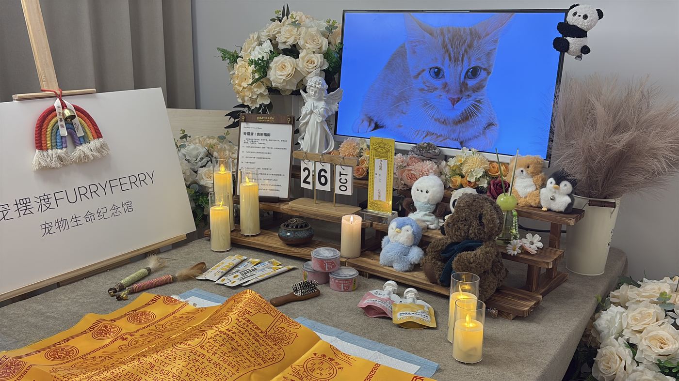 细节最能说明水平